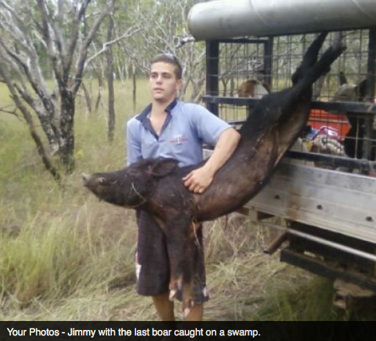 Screen Shot 2013-10-02 at 1.40.36 PM